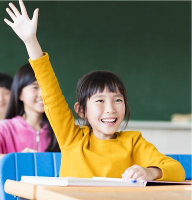 Categories of AEIS Tuition which MindFlex Offers