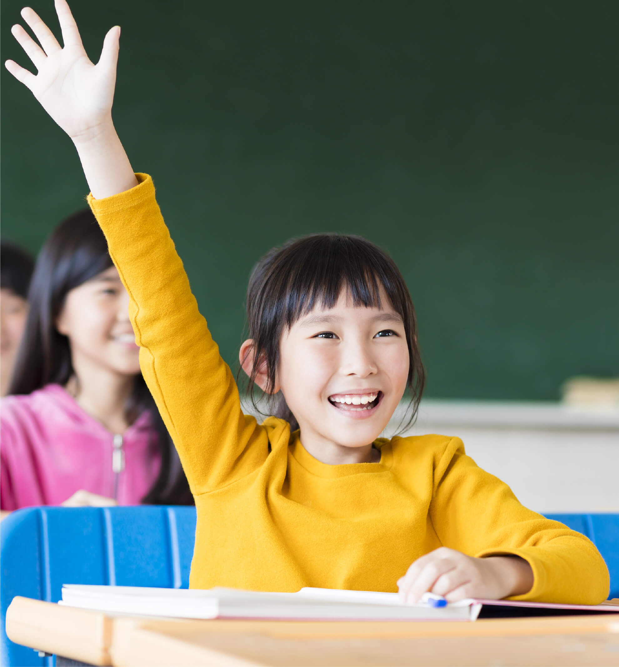 Categories of Primary School Tuition which MindFlex Offers